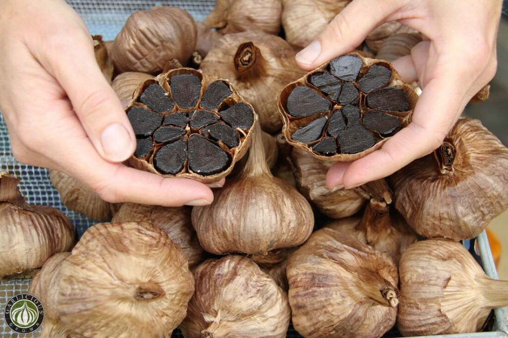 Penting, Ini 9 Manfaat Black Garlic untuk Kesehatan