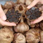 Penting, Ini 9 Manfaat Black Garlic untuk Kesehatan