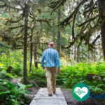 Manfaat Aktivitas di Alam (Forest Bathing) untuk Kesehatan Fisik dan Mental: Terapi Alami yang Terbukti Ilmiah