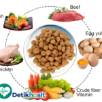 Resep Makanan Kucing Tinggi Protein: Menu Sehat untuk Kucing Aktif