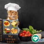Panduan Membuat Menu Makanan Kucing 100% Alami dan Bebas Bahan Pengawet