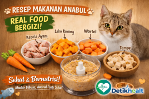 Resep Makanan Kucing untuk Pencernaan Sensitif: Mudah Dicerna dan Bebas Masalah