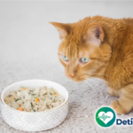 Cara Membuat Makanan Kucing dengan Slow Cooker: Praktis dan Bergizi