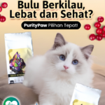 Cara Membuat Makanan Kucing untuk Bulu Sehat dan Berkilau: 7 Tips Terbukti Terbaik
