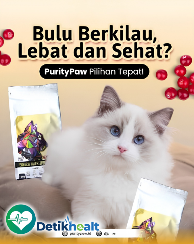 Cara Membuat Makanan Kucing untuk Bulu Sehat dan Berkilau: 7 Tips Terbukti Terbaik