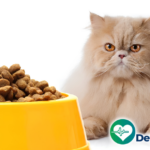 5 Resep Makanan Kucing untuk Diet dan Turunkan Berat Badan yang Terbukti Efektif